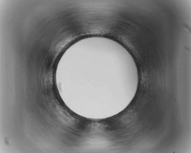 X0000099400632200805151706