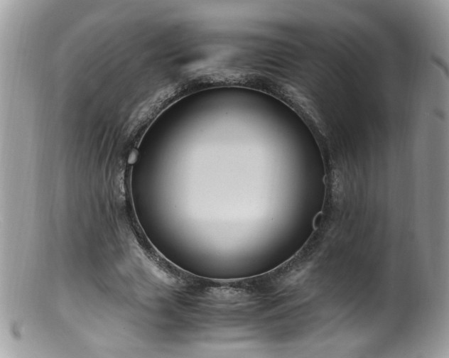 X0000099400633200805151706