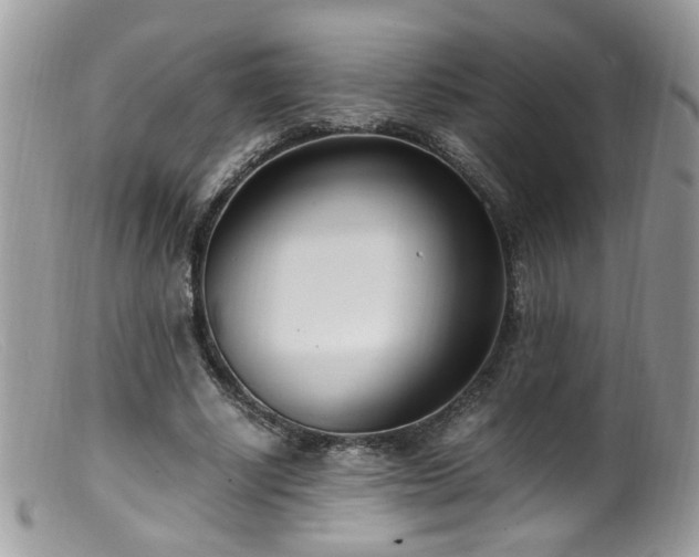 X0000099400634200805151706