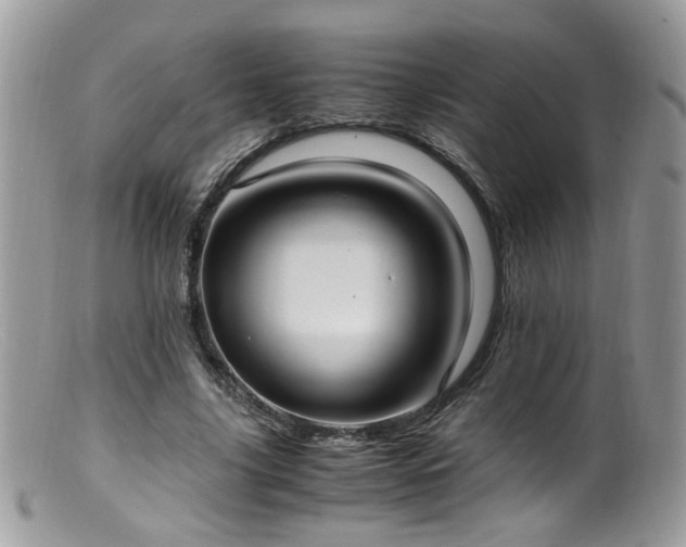 X0000099400635200805151706