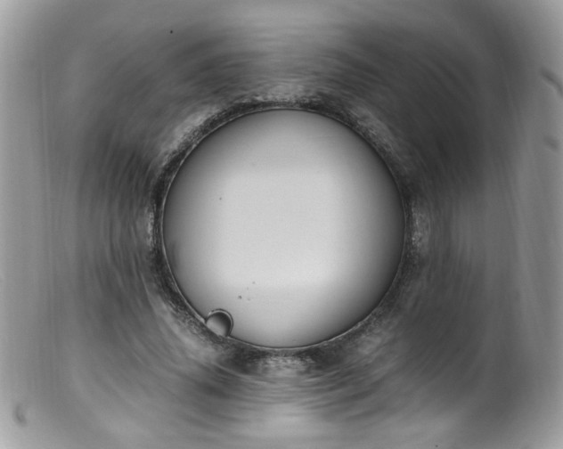 X0000099400636200805151706