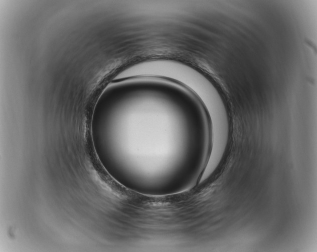 X0000099400637200805151706