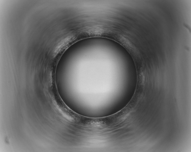 X0000099400638200805151706