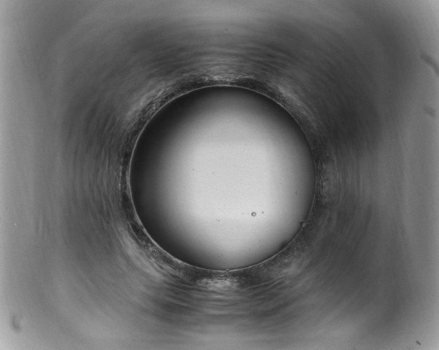 X0000099400639200805151706