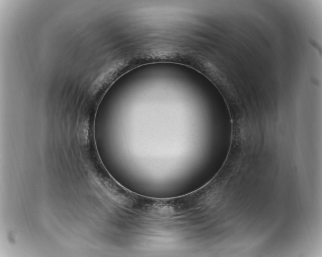 X0000099400640200805151706