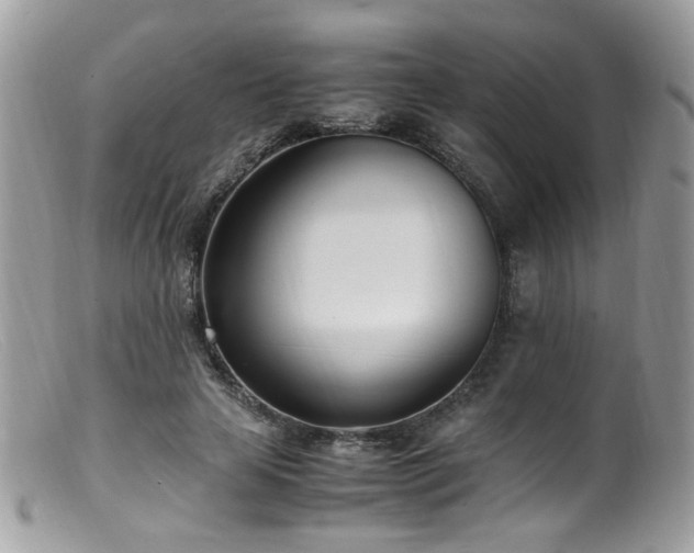 X0000099400641200805151706