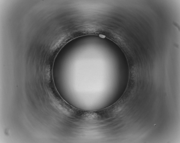 X0000099400642200805151706