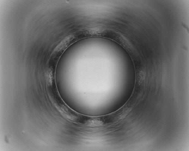 X0000099400644200805151706