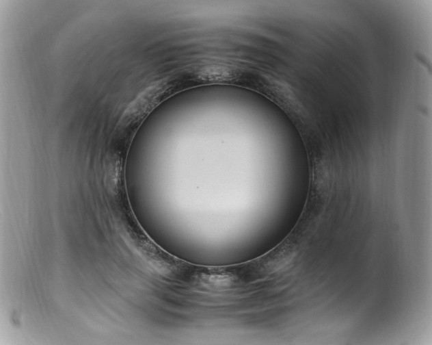 X0000099400645200805151706