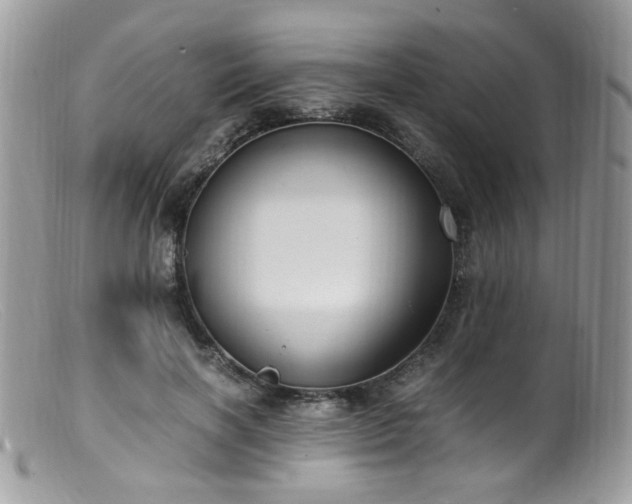 X0000099400646200805151706