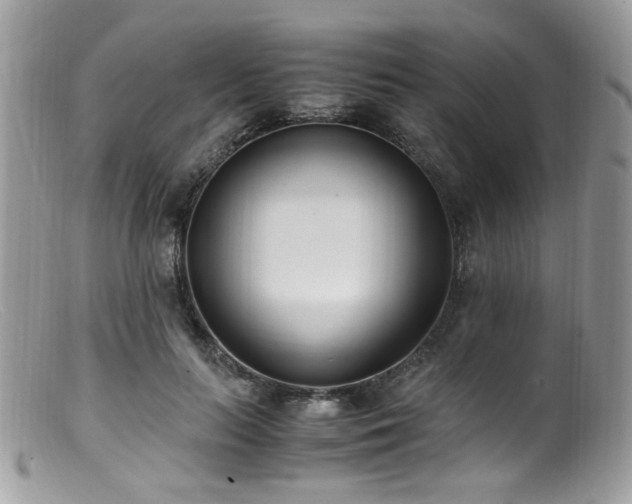 X0000099400647200805151706