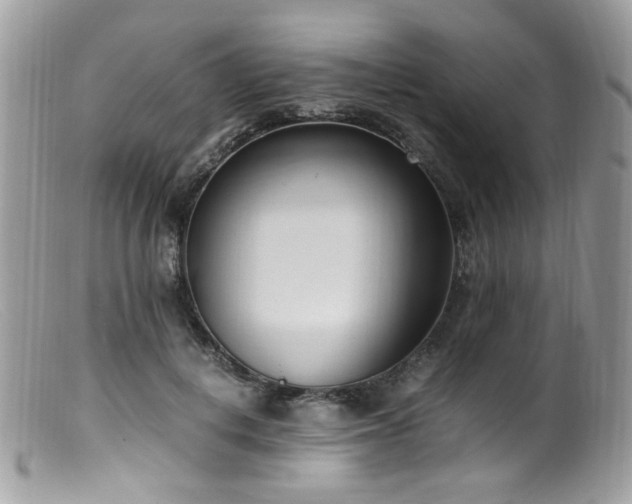 X0000099400648200805151706