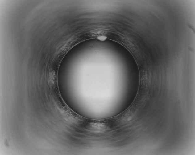 X0000099400649200805151706