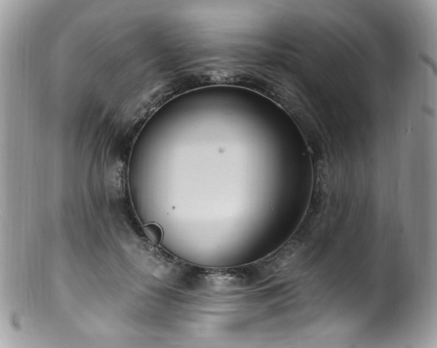 X0000099400650200805151706