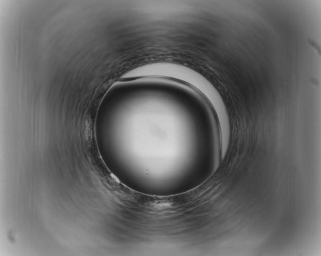 X0000099400651200805151706