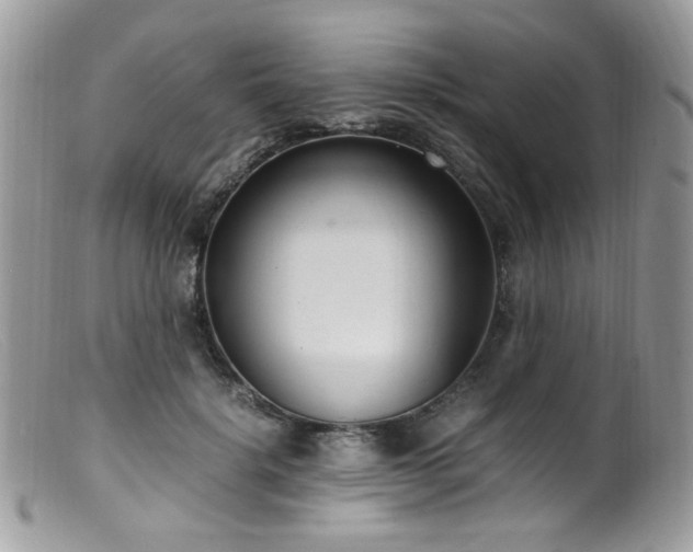 X0000099400652200805151706