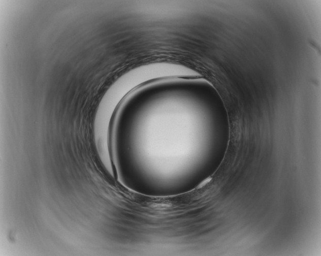 X0000099400653200805151706