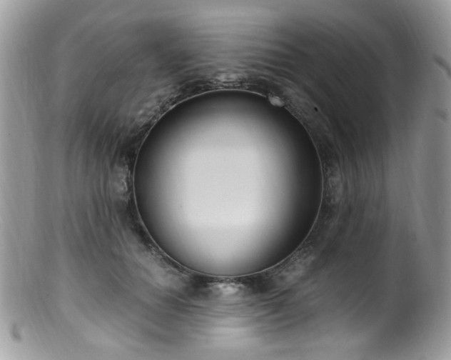 X0000099400654200805151706