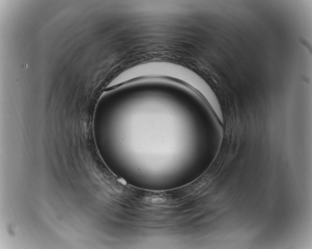 X0000099400655200805151706