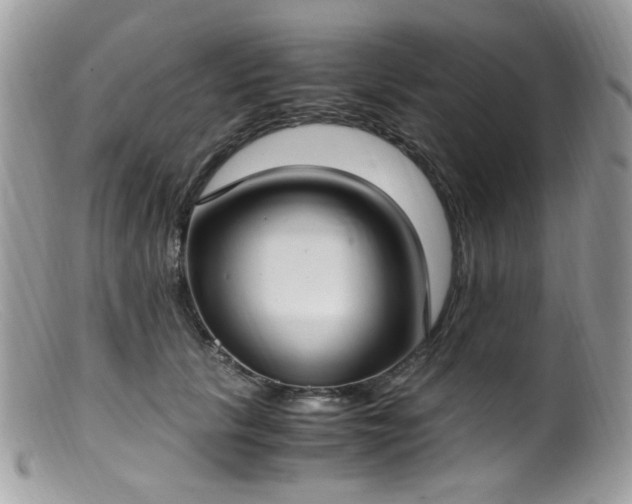 X0000099400657200805151706