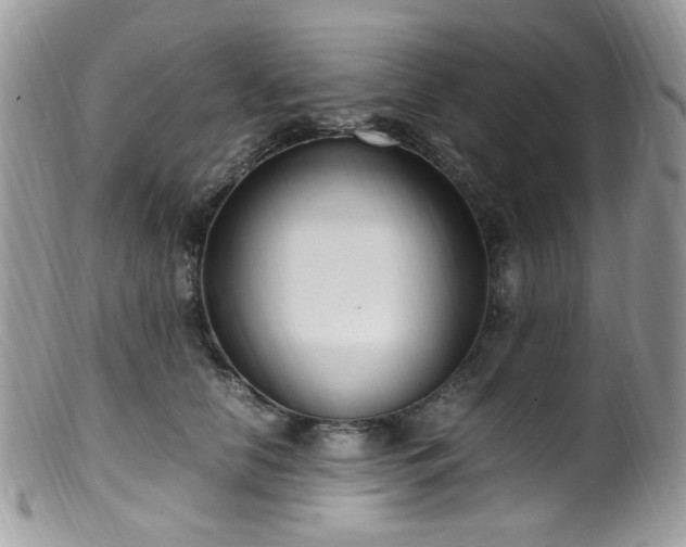 X0000099400658200805151706