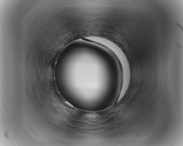 X0000099400659200805151706