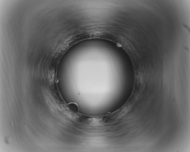 X0000099400660200805151706