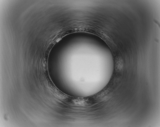 X0000099400661200805151706