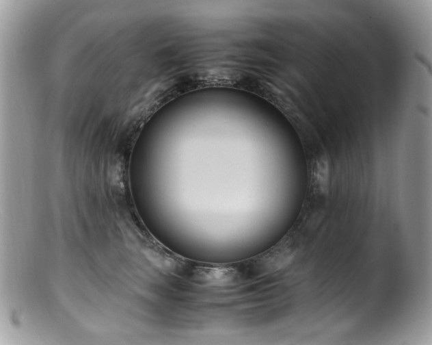 X0000099400663200805151706