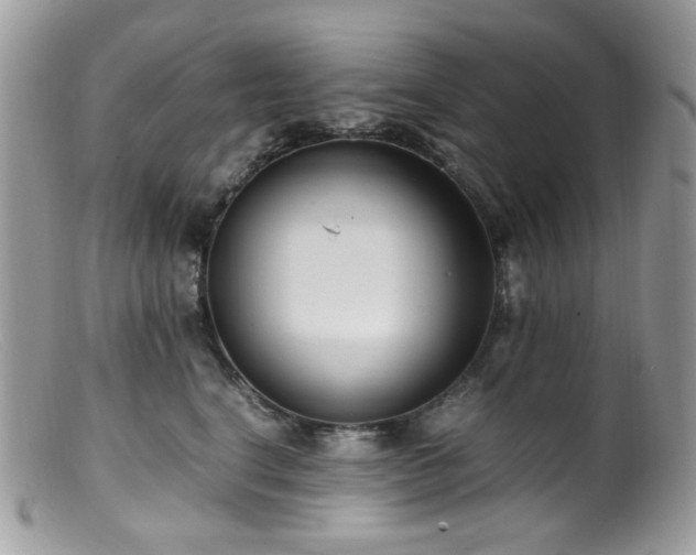 X0000099400664200805151706