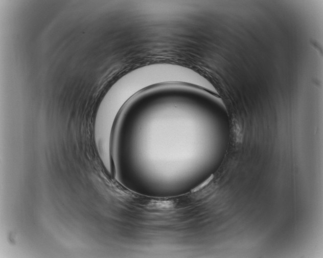 X0000099400665200805151706