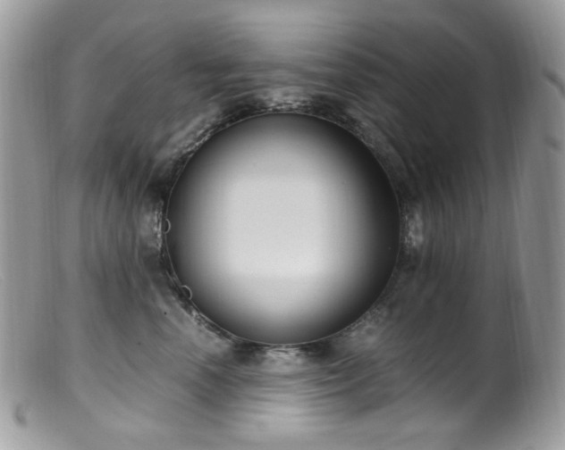 X0000099400666200805151706