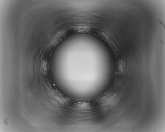 X0000099400667200805151706