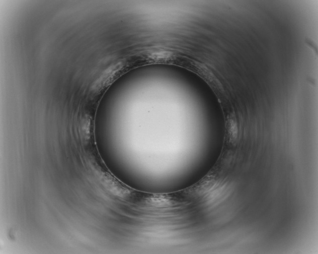 X0000099400668200805151706