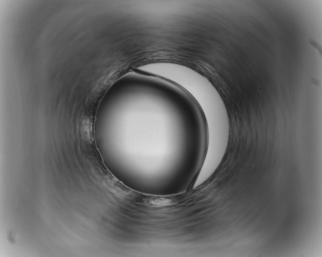 X0000099400669200805151706