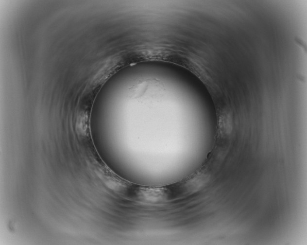 X0000099400671200805151707