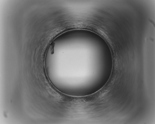 X0000099400673200805151706