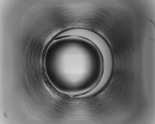 X0000099400674200805151706