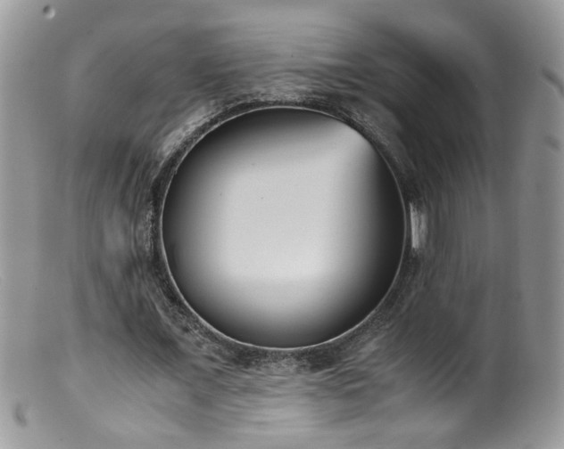 X0000099400675200805151706