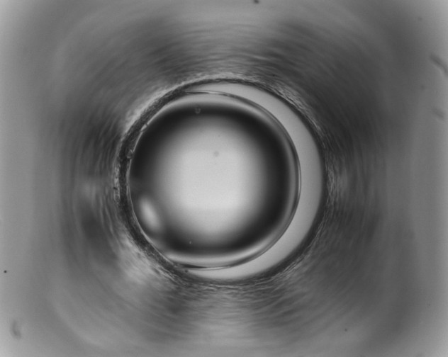 X0000099400676200805151706