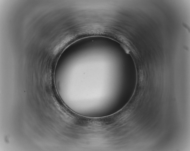 X0000099400677200805151706