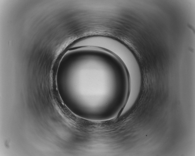 X0000099400678200805151706