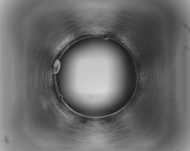 X0000099400679200805151706