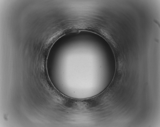 X0000099400681200805151706