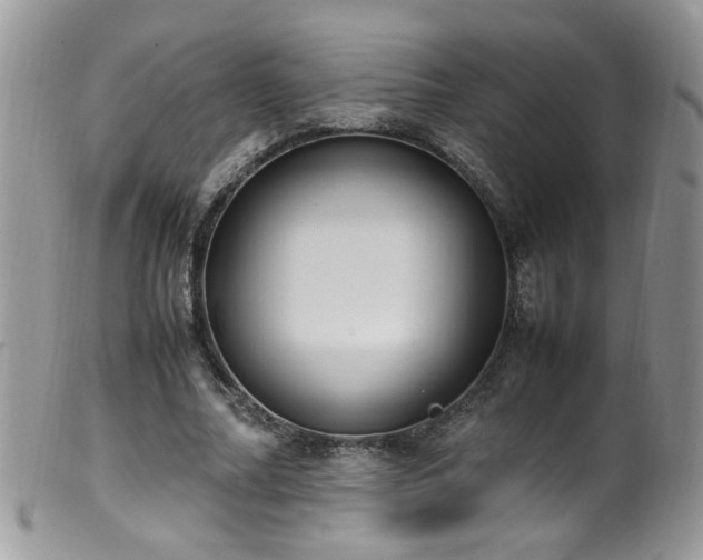 X0000099400682200805151706