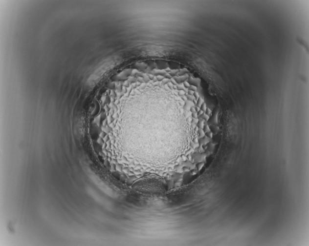 X0000099400683200805151706