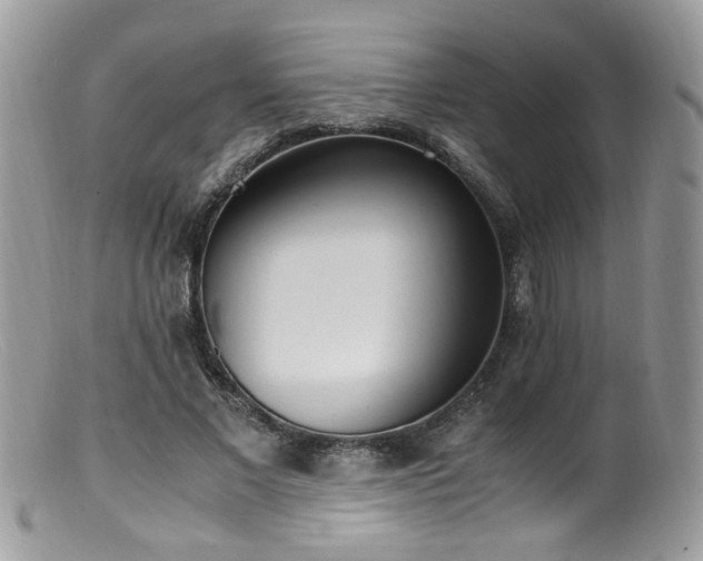 X0000099400685200805151706