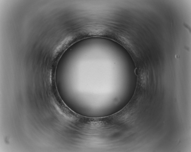 X0000099400686200805151706