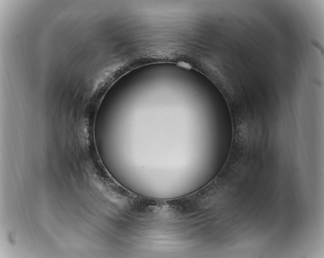 X0000099400688200805151706