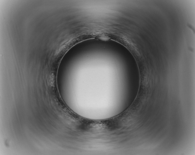 X0000099400689200805151706